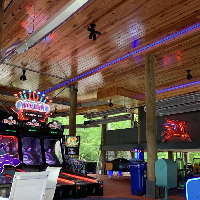 LED Neon